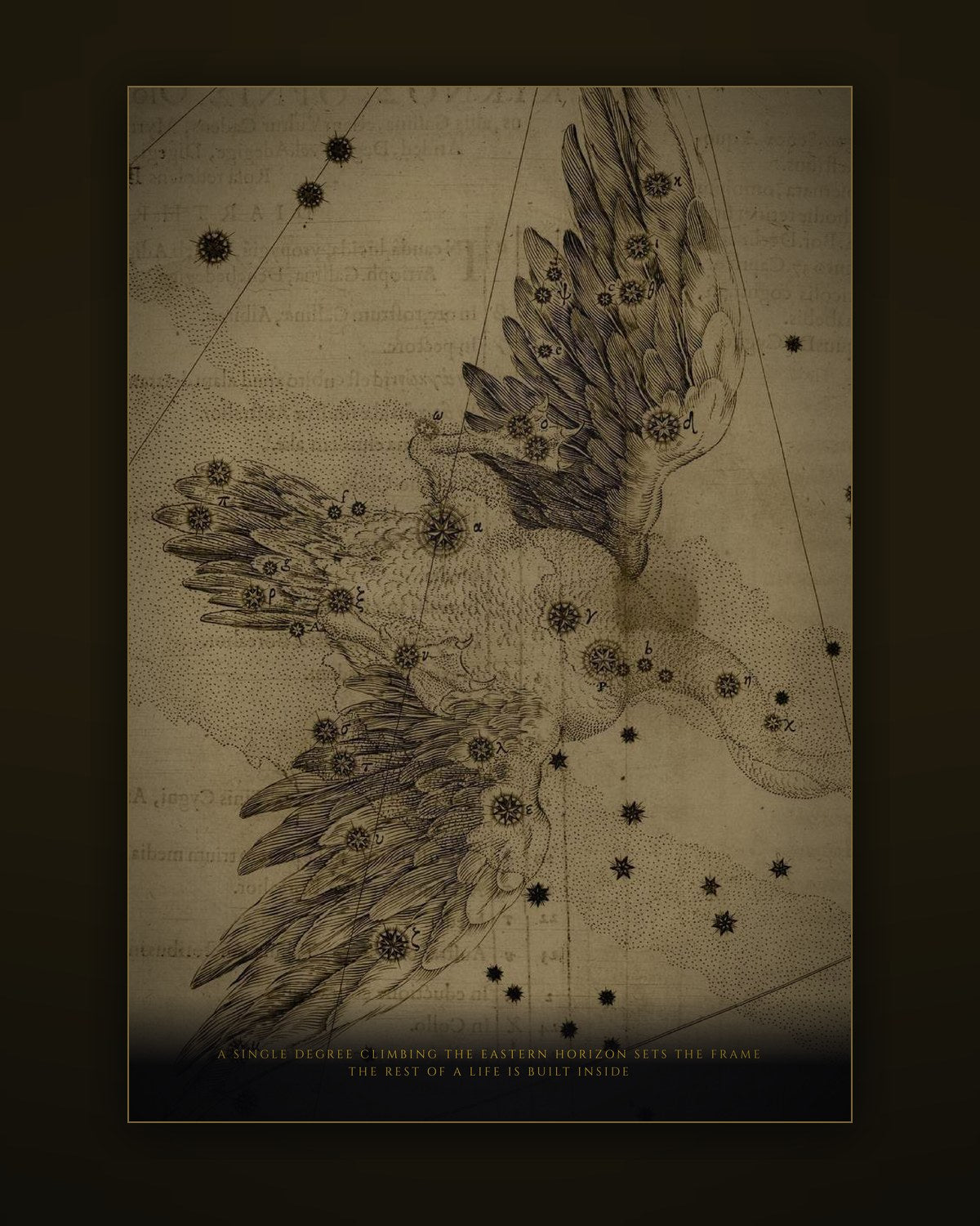 An illustrated plate from inside