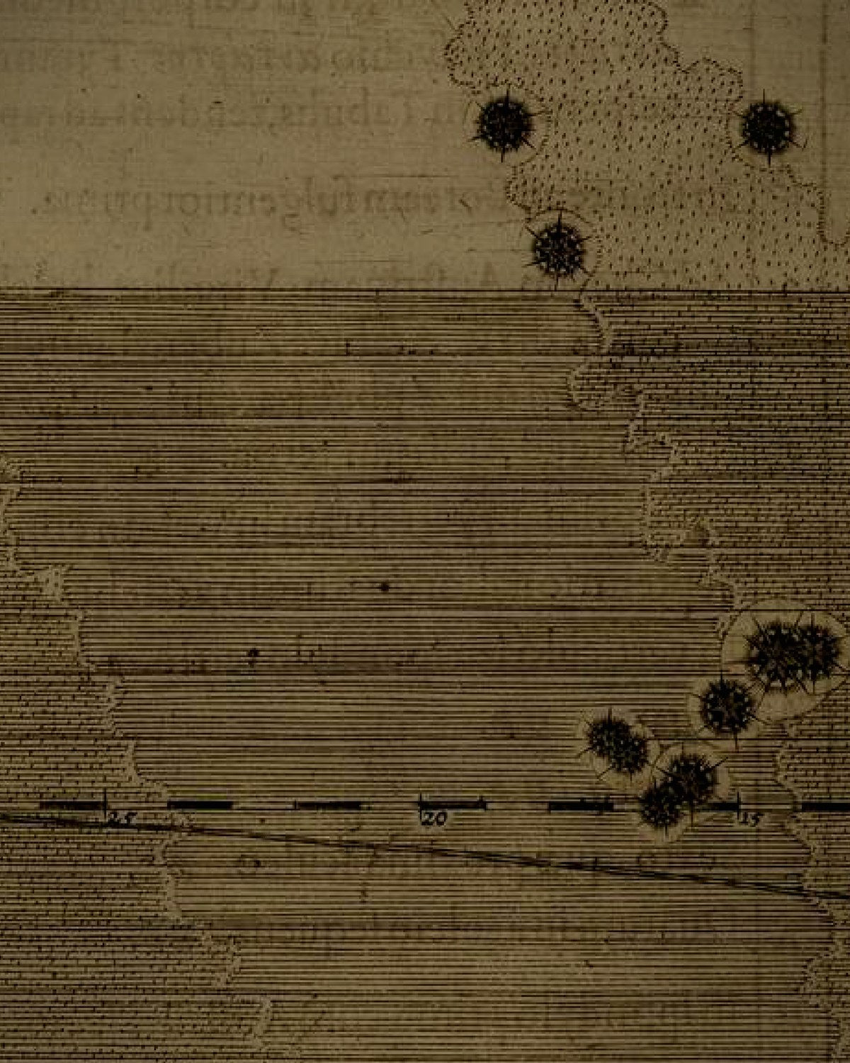Engraving detail