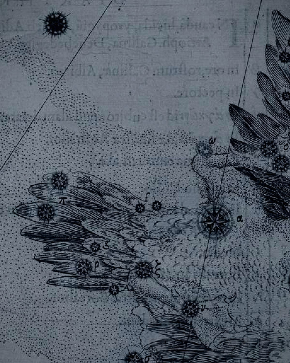 Engraving detail