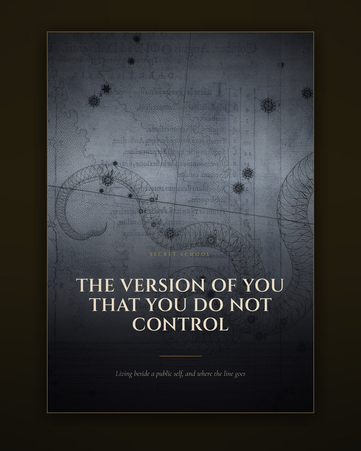 Cover of the illustrated guide to living beside a public version of yourself