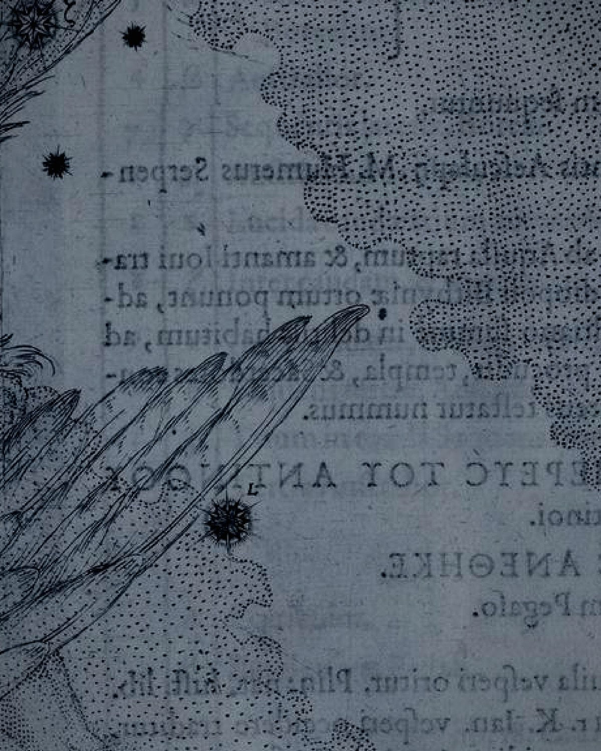 Engraving detail