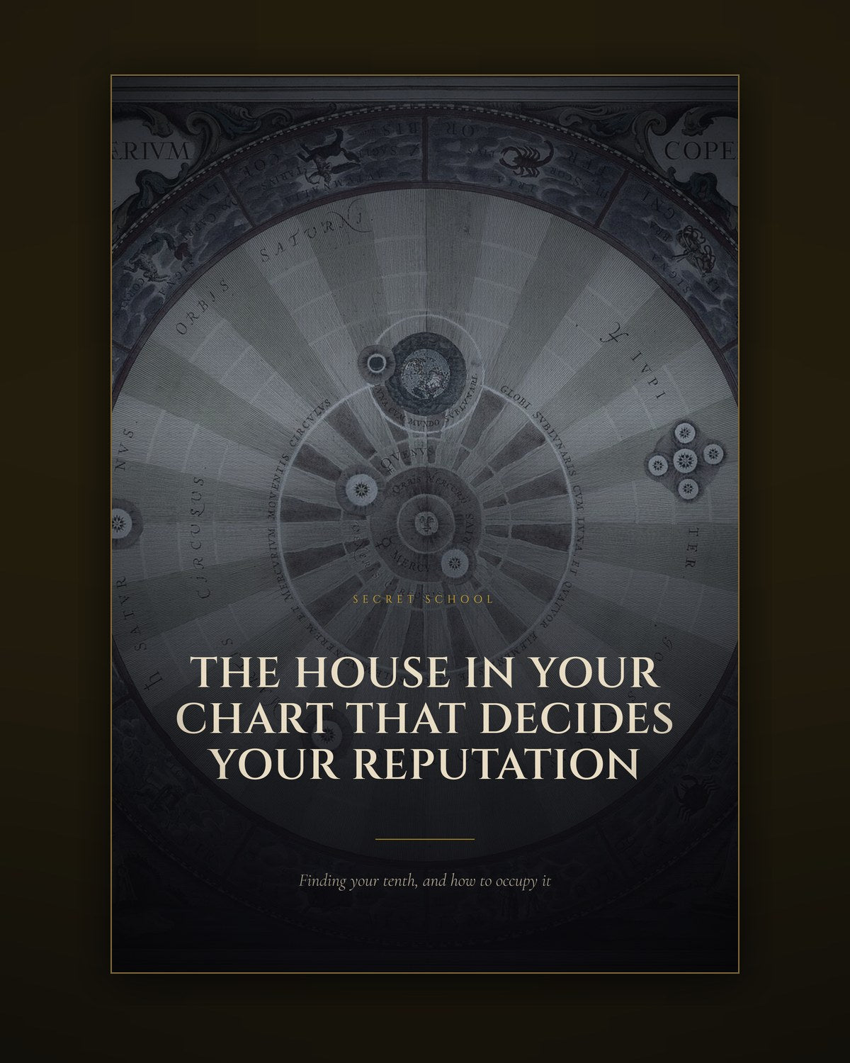 Cover of the illustrated guide to the tenth house and reputation