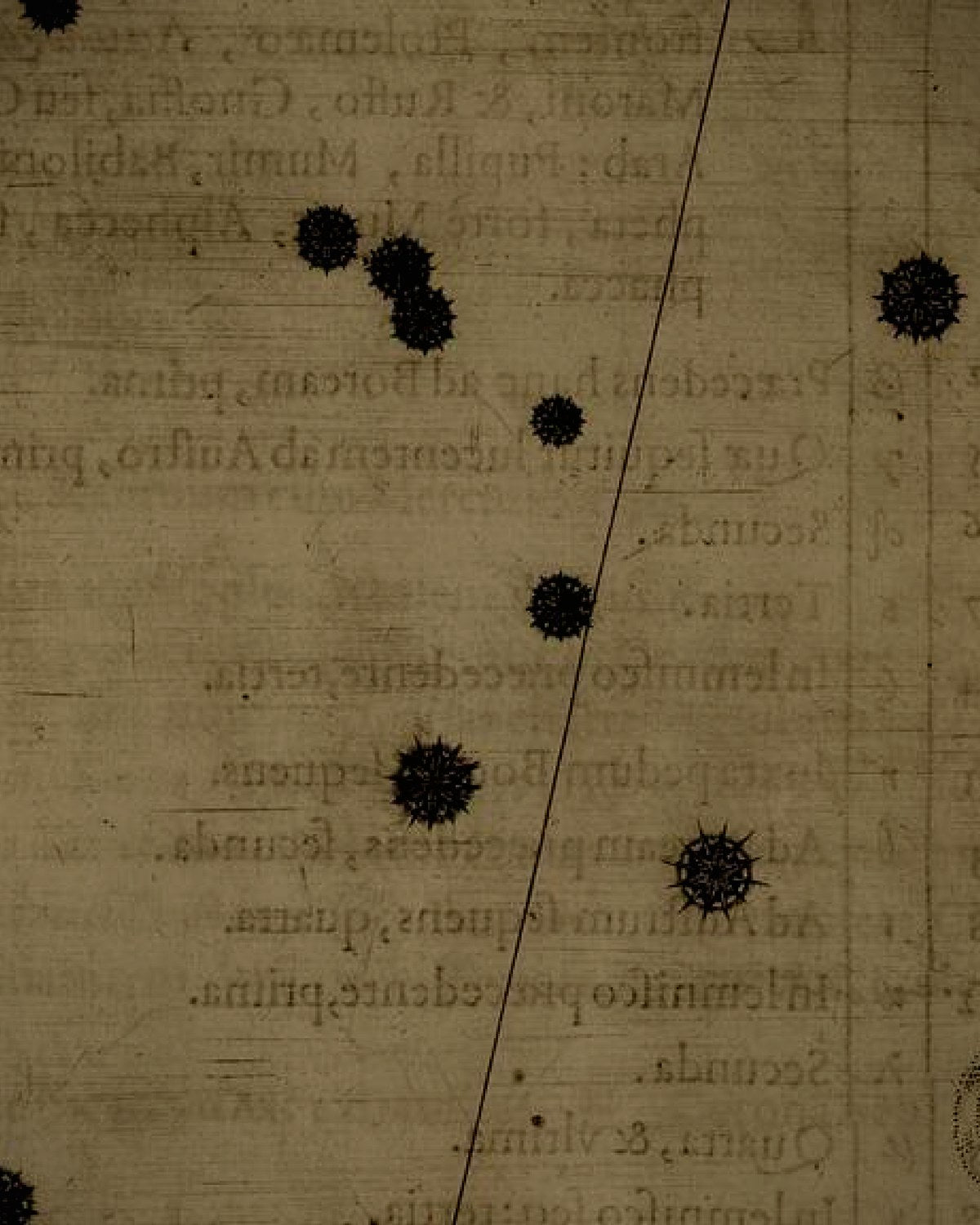 Engraving detail