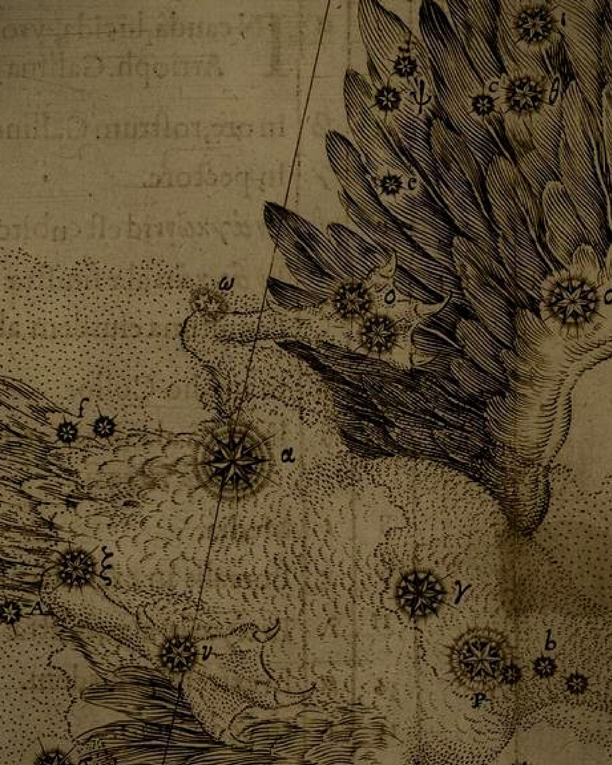 Engraving detail
