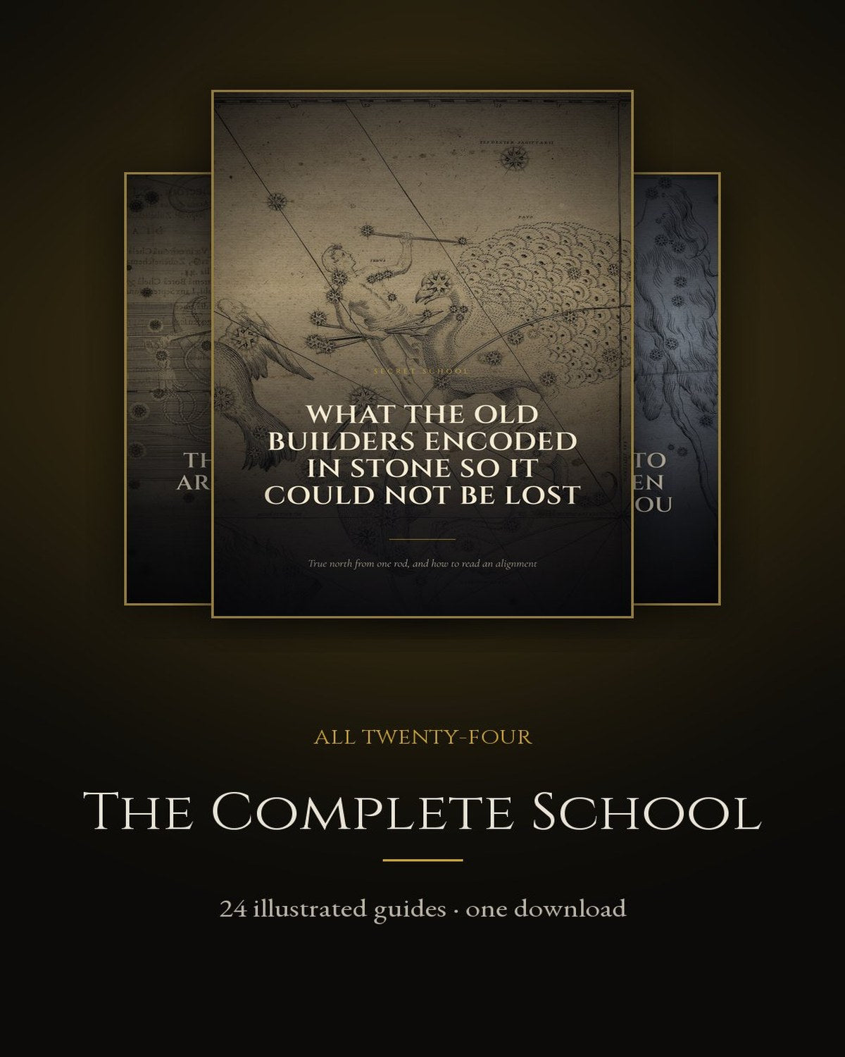 Cover of The Complete School, twenty-four illustrated guides in one download