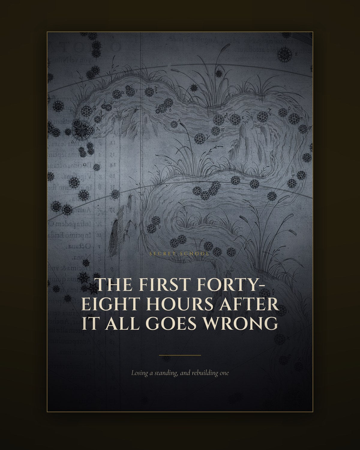 Cover of the illustrated guide to the first forty-eight hours after a public fall