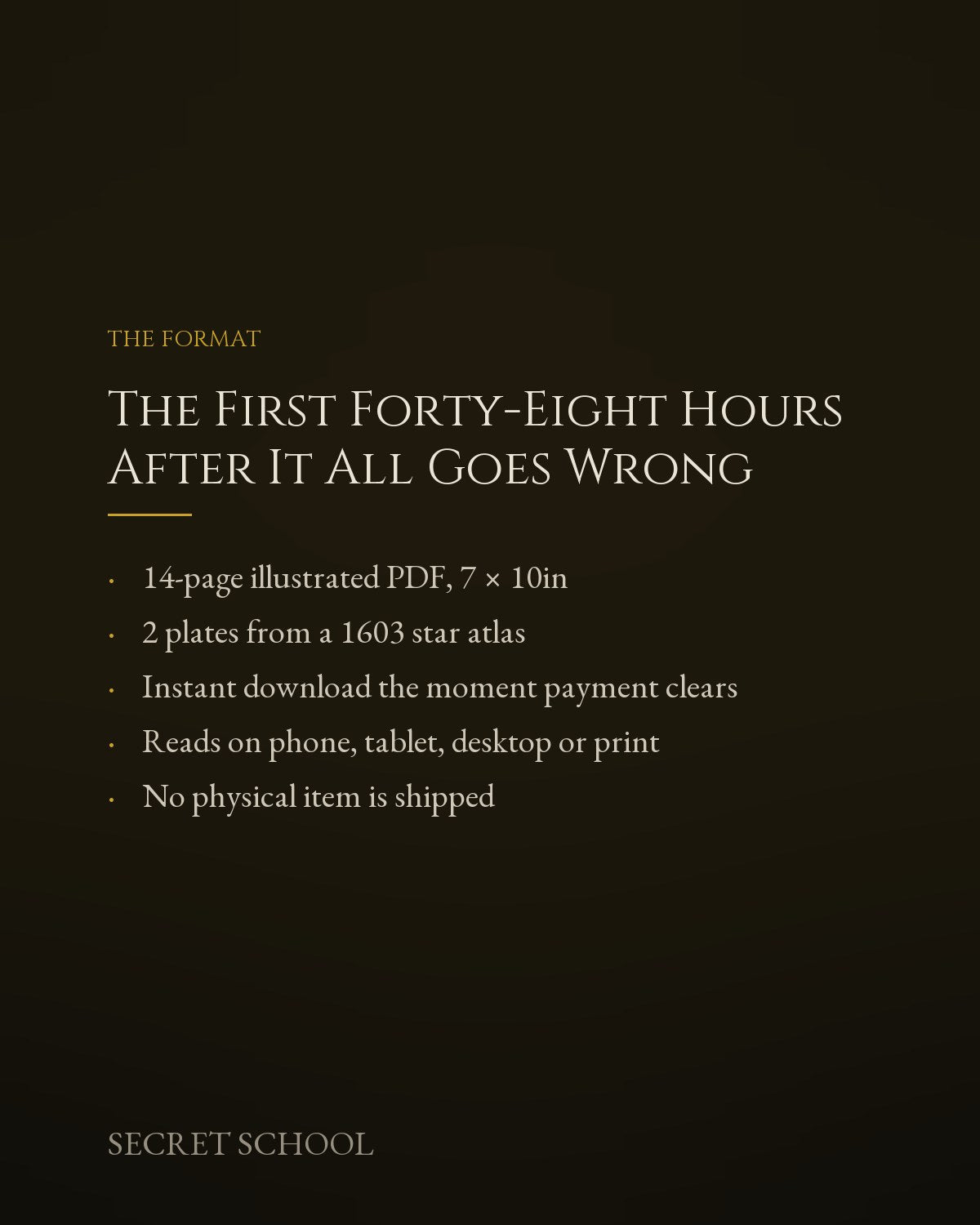 The First Forty-Eight Hours After It All Goes Wrong