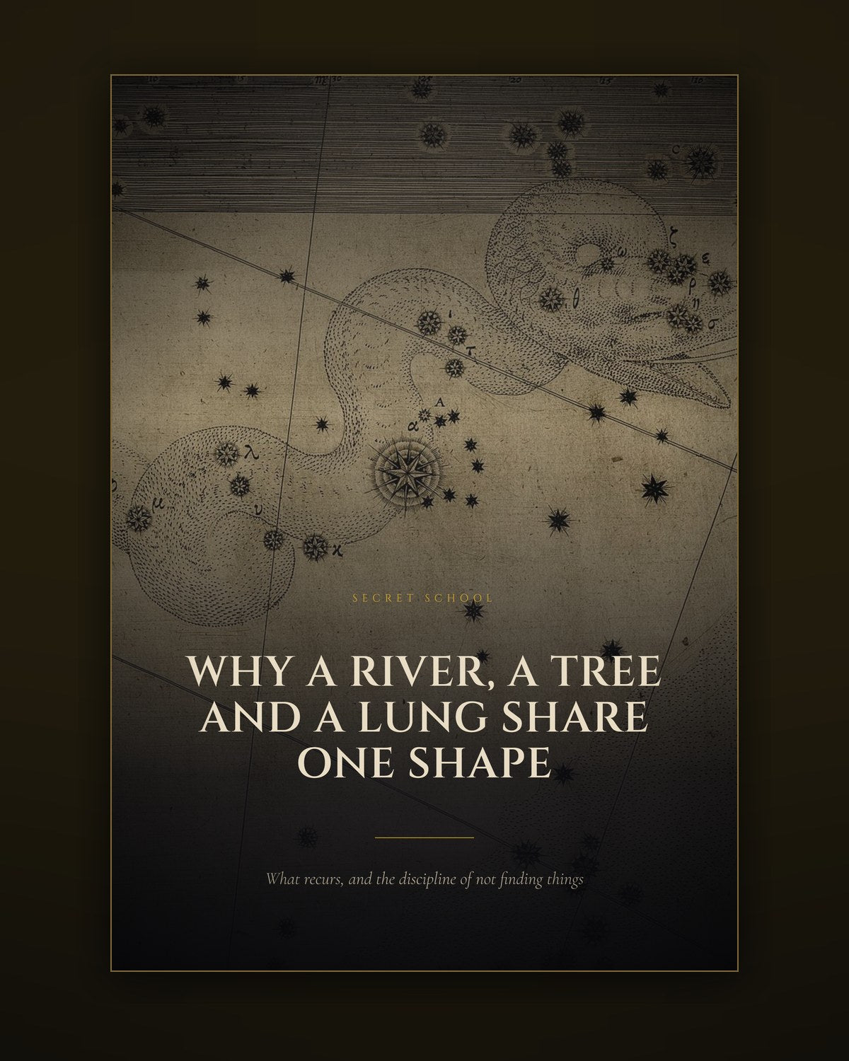 Cover of the illustrated guide to recurring natural forms and the discipline of pattern-finding
