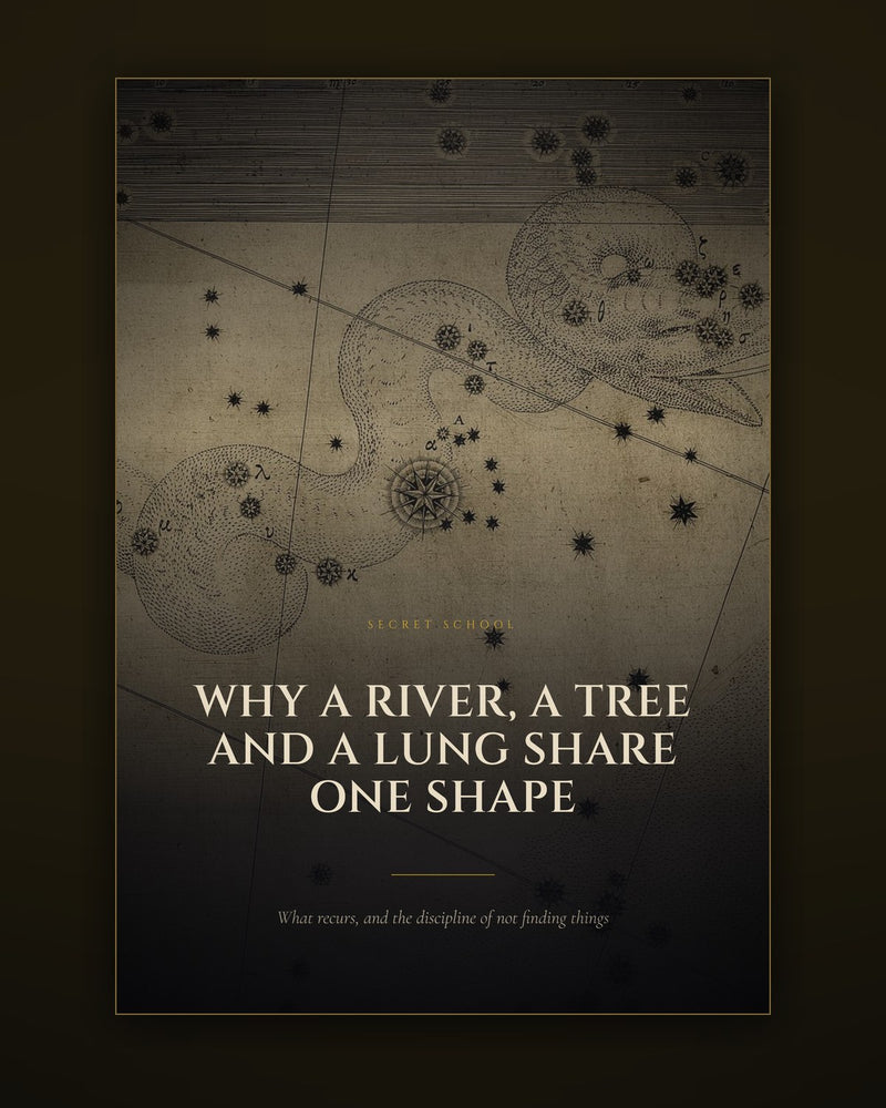 Why a River, a Tree and a Lung Share One Shape