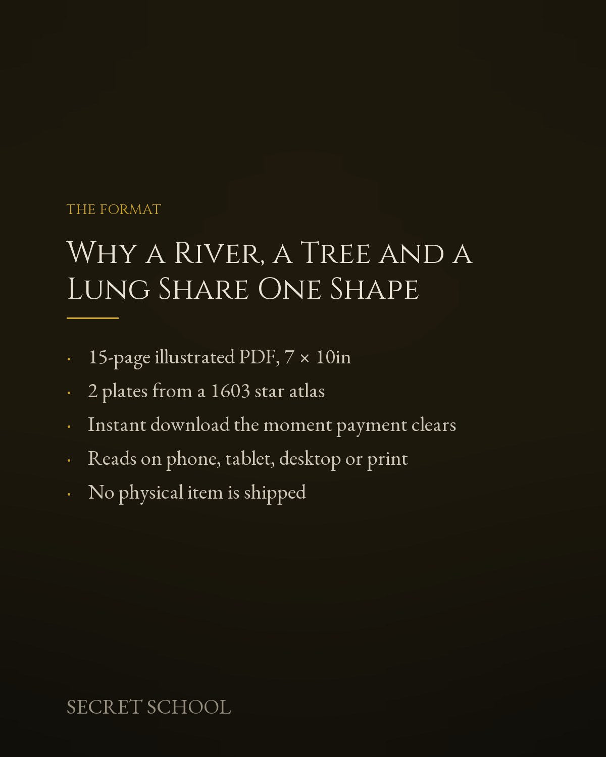 Why a River, a Tree and a Lung Share One Shape