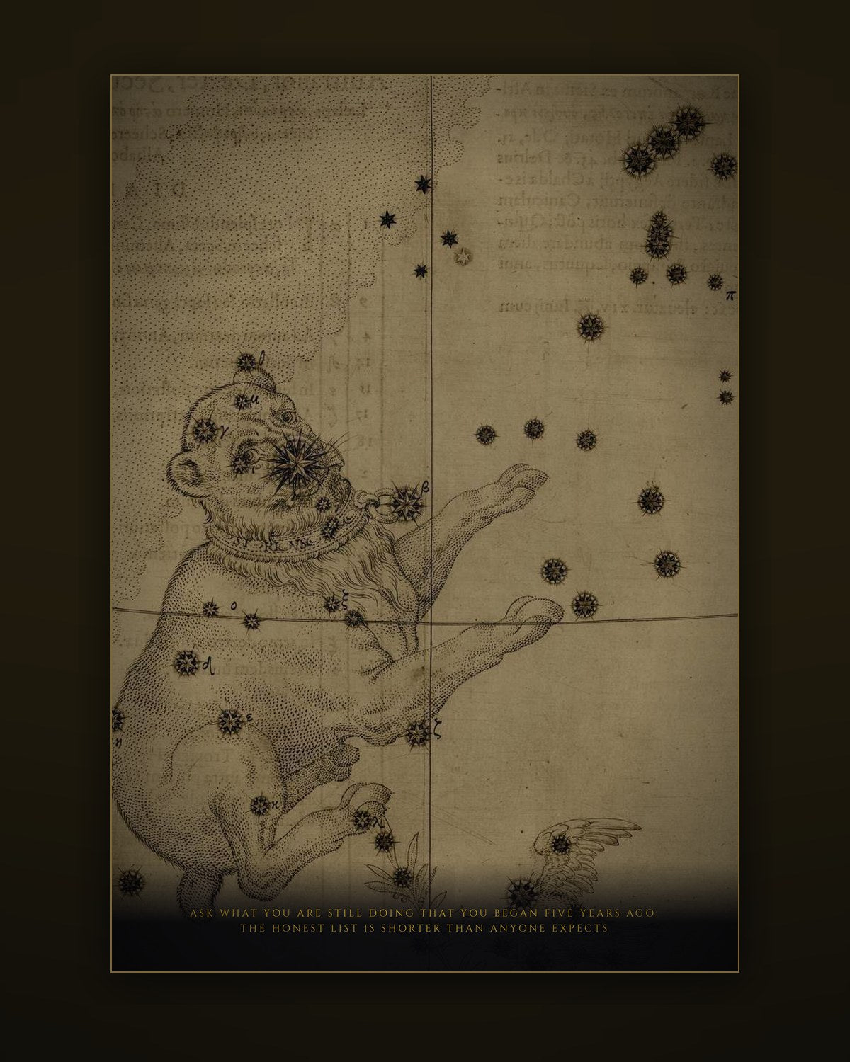 An illustrated plate from inside