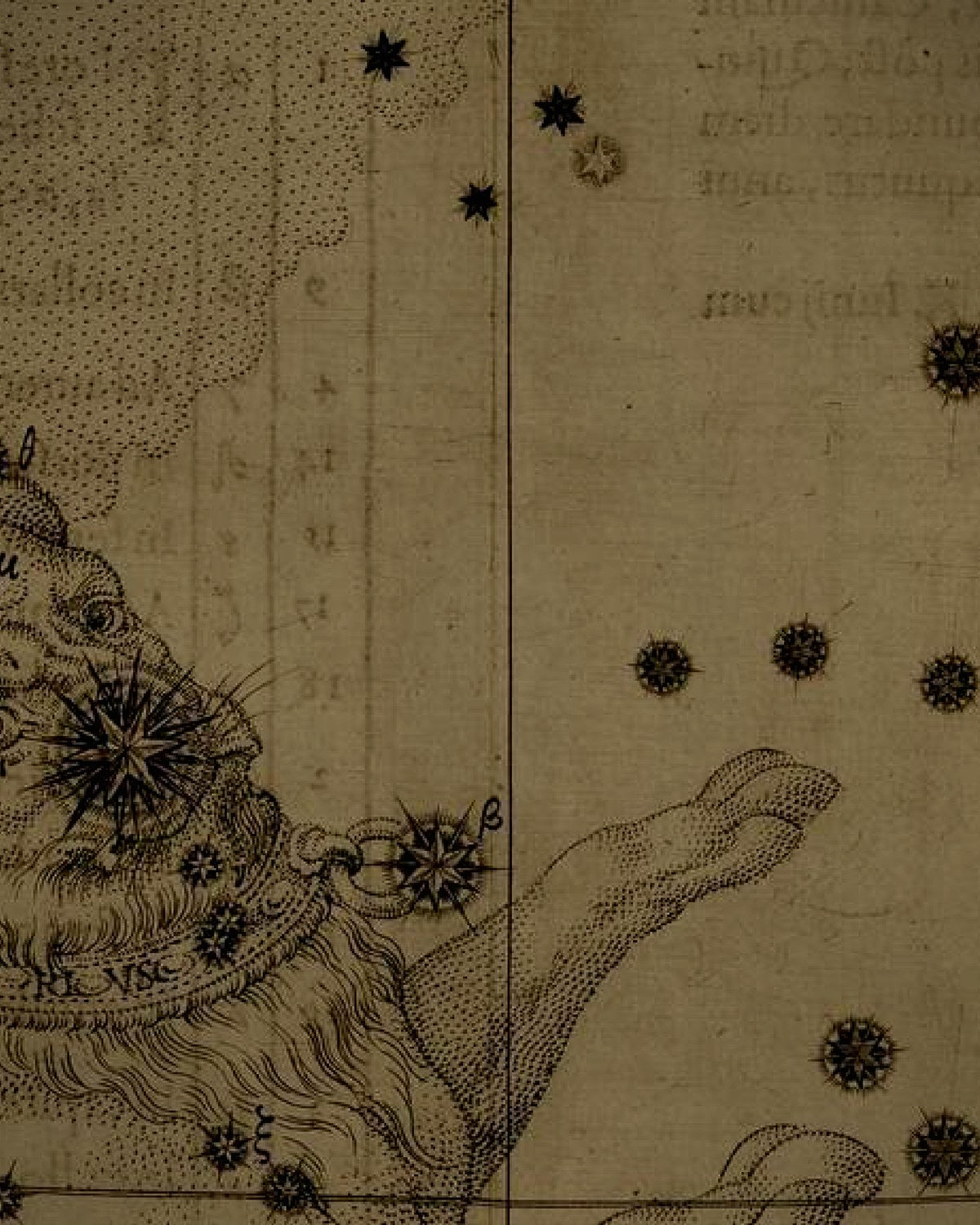 Engraving detail