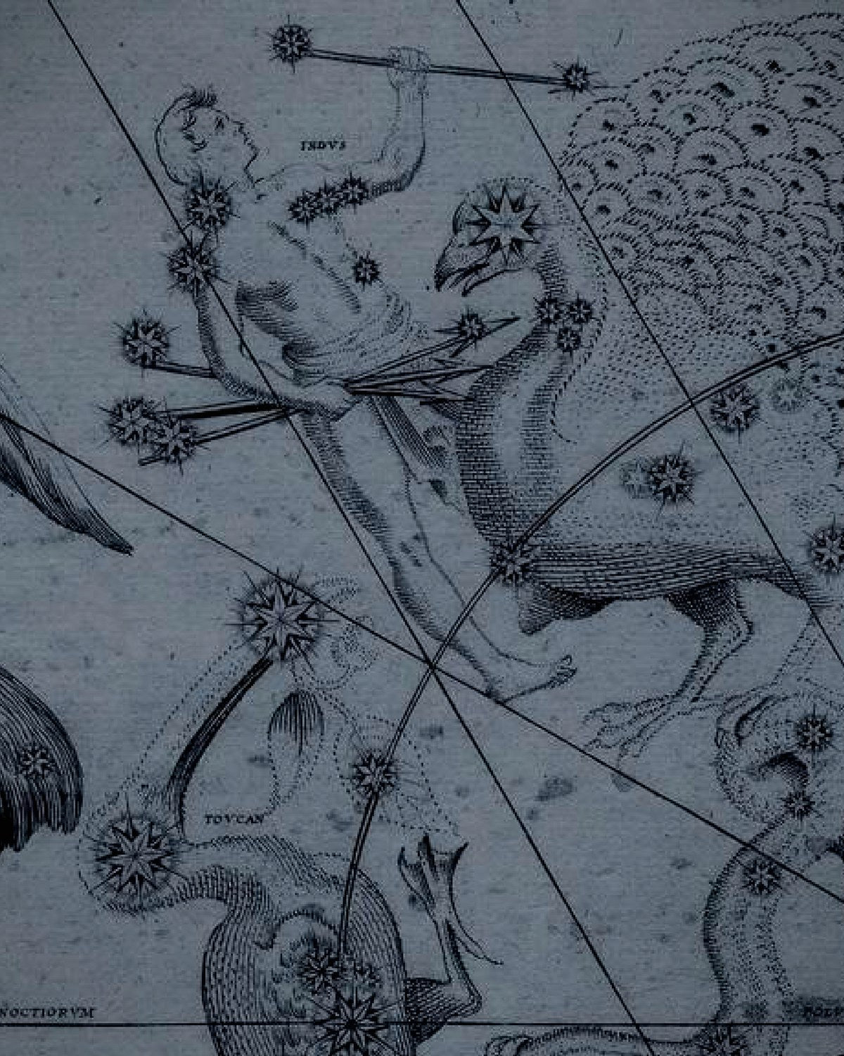 Engraving detail