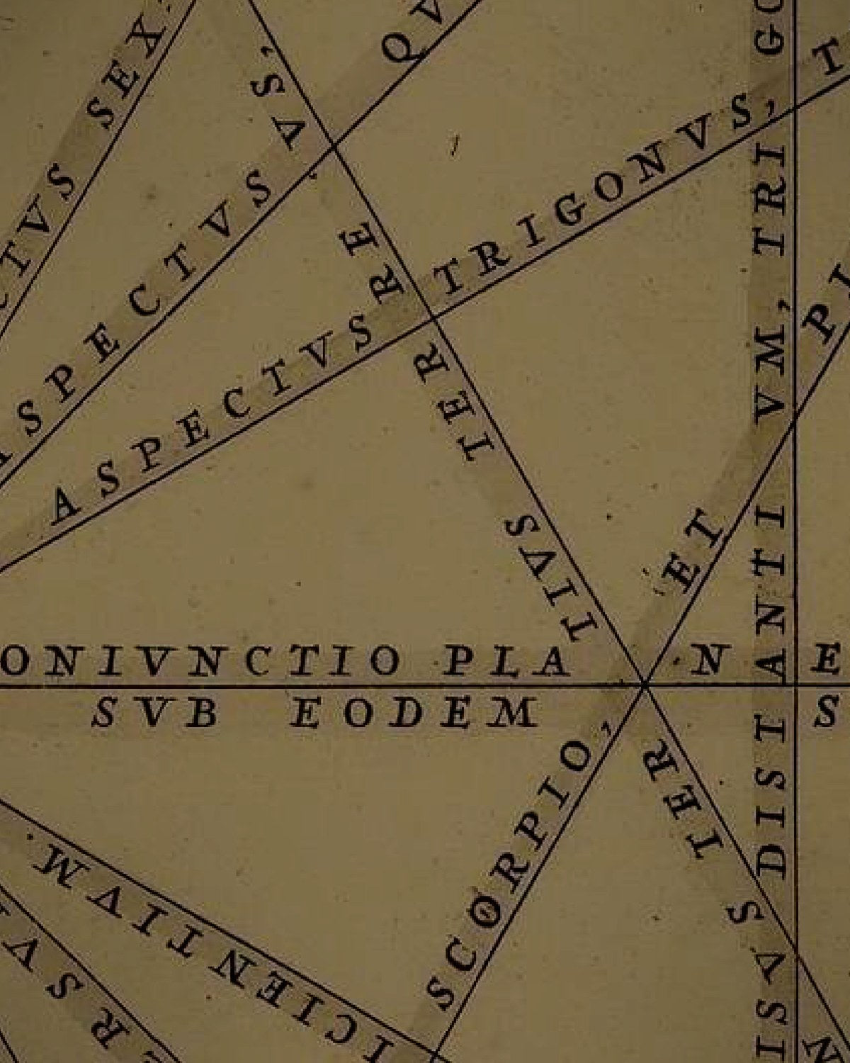 Engraving detail