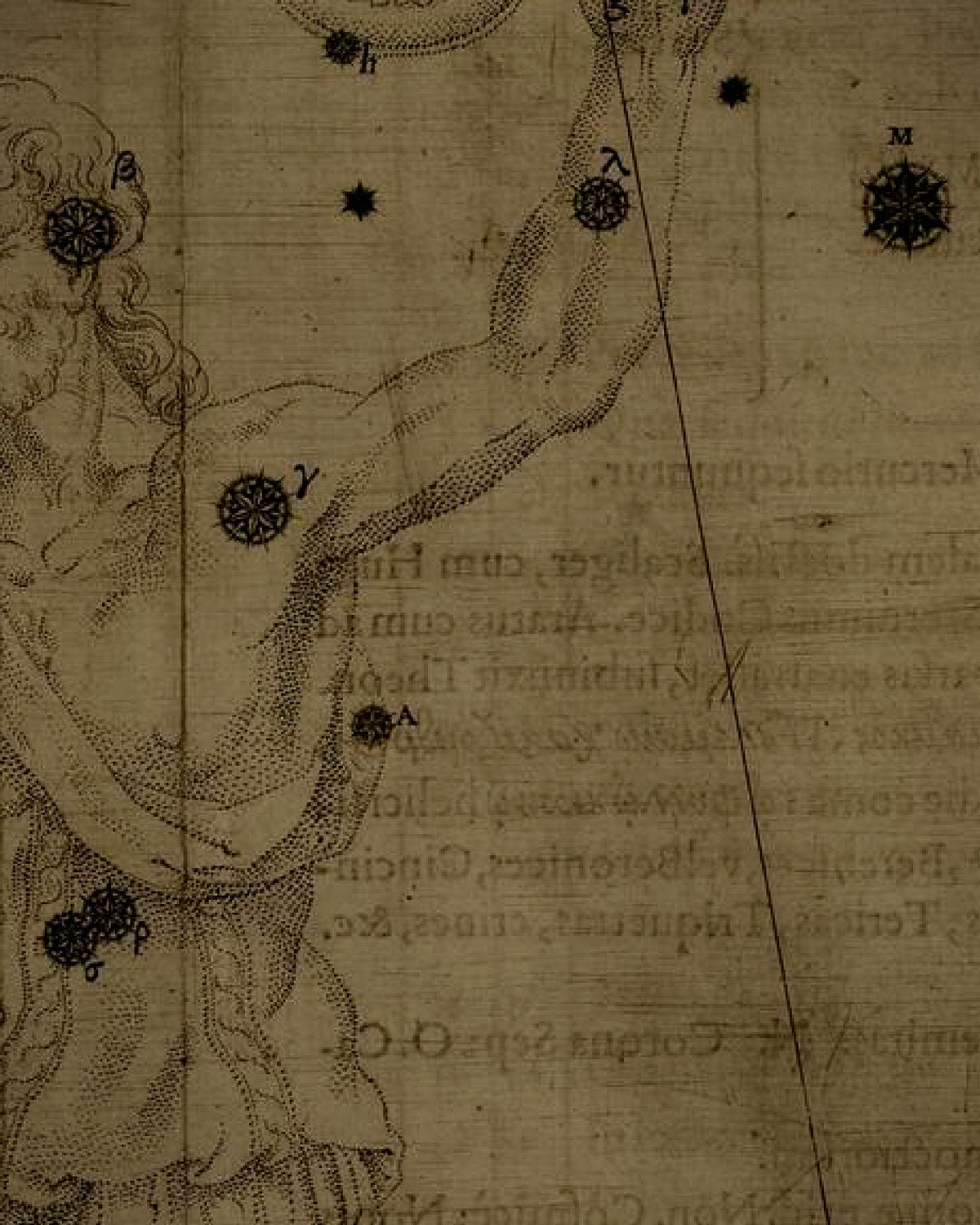 Engraving detail