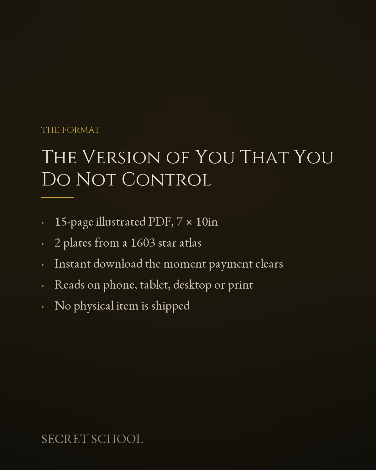 The Version of You That You Do Not Control