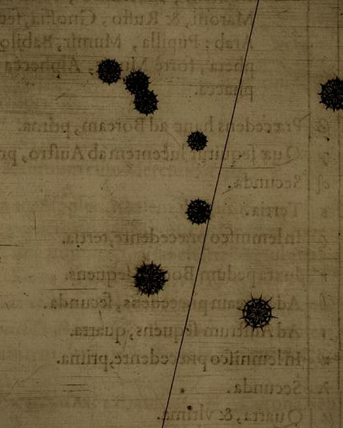 Engraving detail
