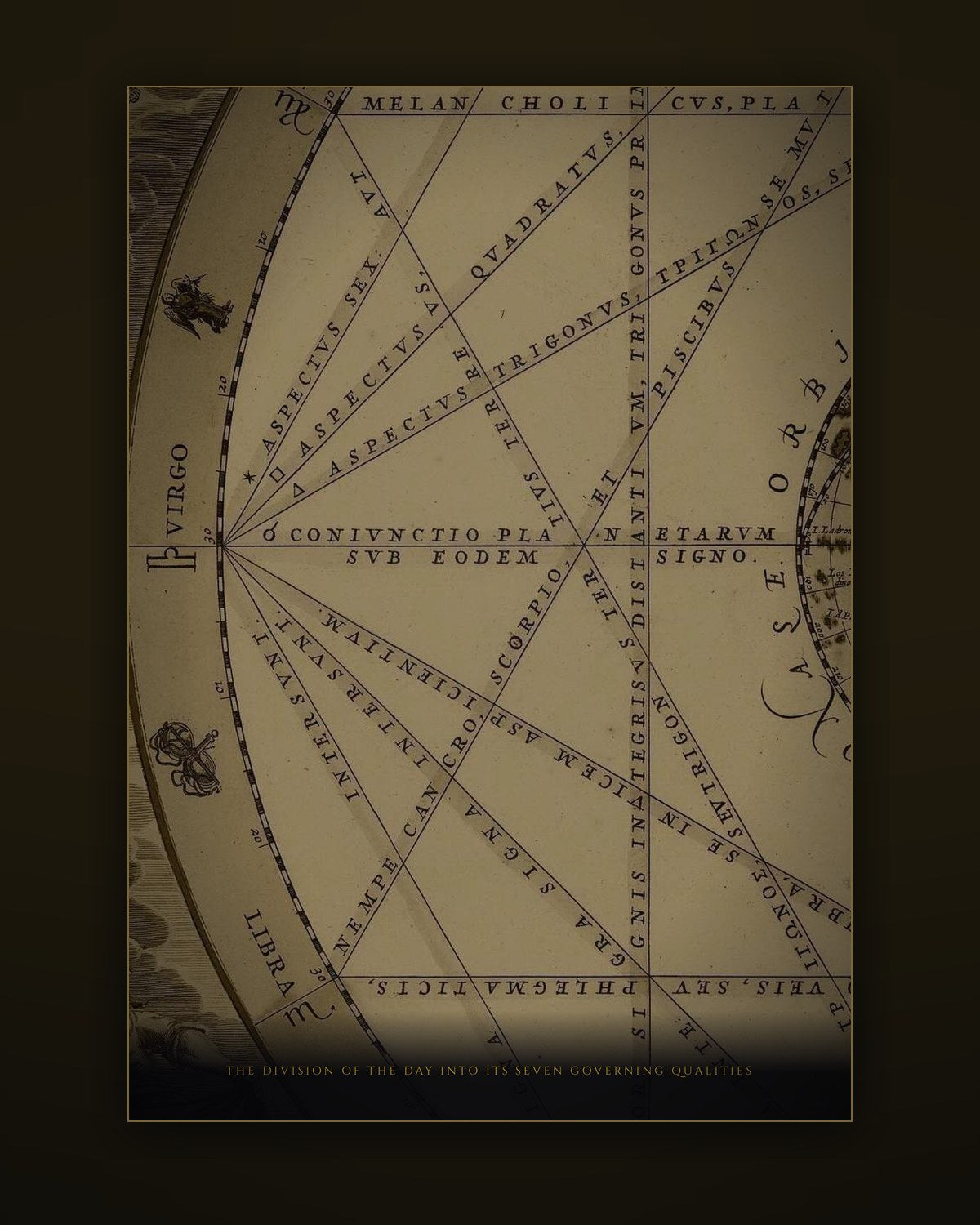 An illustrated plate from inside