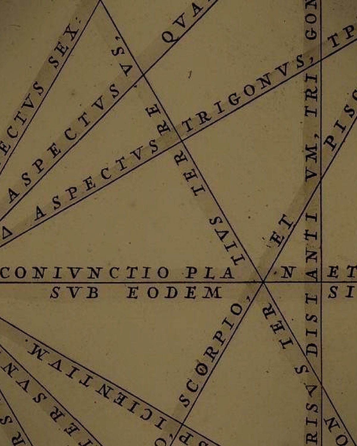 Engraving detail