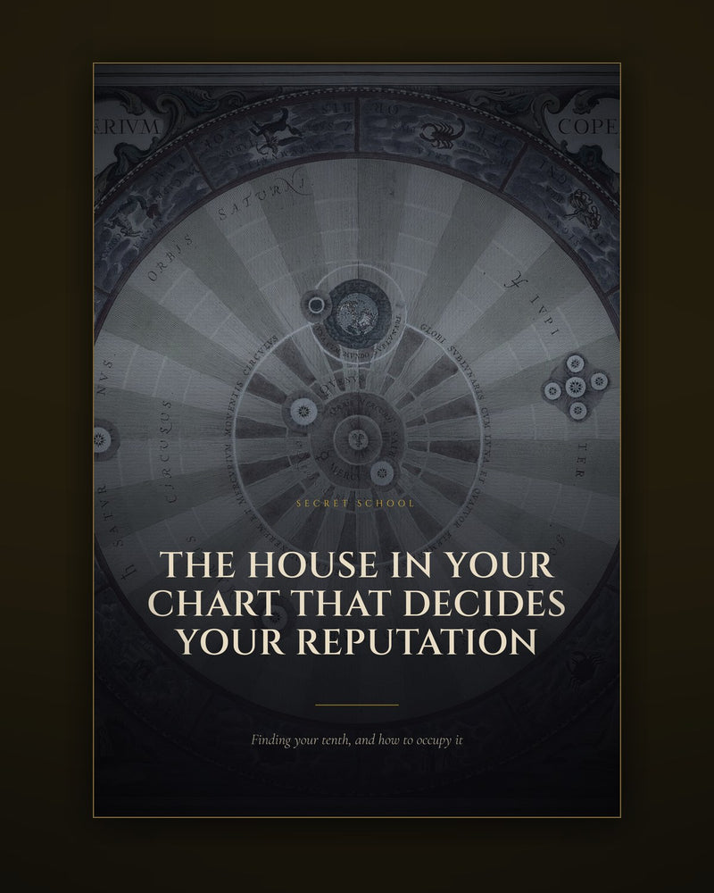 The House in Your Chart That Decides Your Reputation