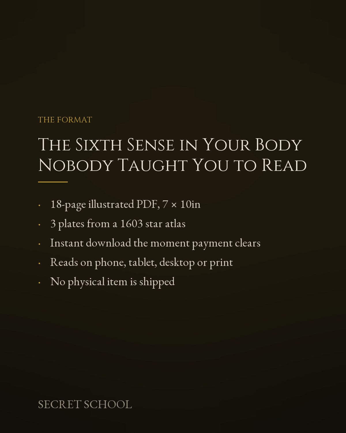 The Sixth Sense in Your Body Nobody Taught You to Read